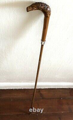 Antique Carved Armadillo Design Wooden Silver Hallmarked Walking Stick Cane