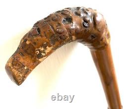 Antique Carved Armadillo Design Wooden Silver Hallmarked Walking Stick Cane