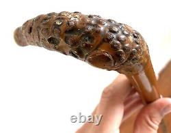 Antique Carved Armadillo Design Wooden Silver Hallmarked Walking Stick Cane