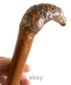 Antique Carved Armadillo Design Wooden Silver Hallmarked Walking Stick Cane