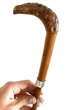 Antique Carved Armadillo Design Wooden Silver Hallmarked Walking Stick Cane