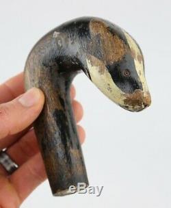 Antique Carved Badger Head Walking Stick Cane Handle Curved Odd Old vtg