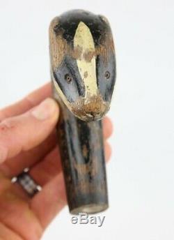 Antique Carved Badger Head Walking Stick Cane Handle Curved Odd Old vtg