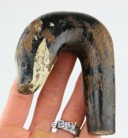 Antique Carved Badger Head Walking Stick Cane Handle Curved Odd Old vtg