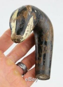 Antique Carved Badger Head Walking Stick Cane Handle Curved Odd Old vtg