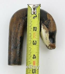 Antique Carved Badger Head Walking Stick Cane Handle Curved Odd Old vtg