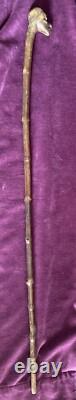 Antique Carved Blackthorn Walking Stick In The Shape Of A Face Glass Eye Rare