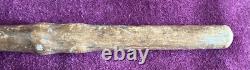 Antique Carved Blackthorn Walking Stick In The Shape Of A Face Glass Eye Rare