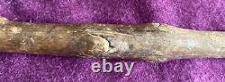 Antique Carved Blackthorn Walking Stick In The Shape Of A Face Glass Eye Rare