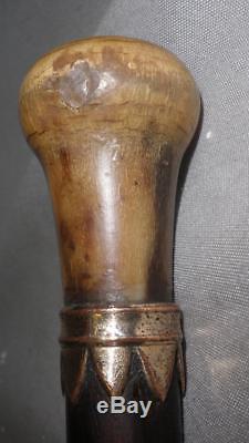 Antique Carved Bovine Horn Rosewood Dress/Walking Cane Gp Collar- 91cm