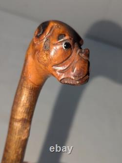 Antique Carved Cane Walking Stick Boxer Bulldog with Brass Band