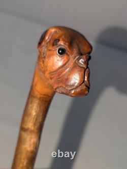 Antique Carved Cane Walking Stick Boxer Bulldog with Brass Band