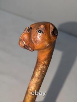 Antique Carved Cane Walking Stick Boxer Bulldog with Brass Band