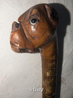 Antique Carved Cane Walking Stick Boxer Bulldog with Brass Band