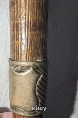 Antique Carved Cane Walking Stick Boxer Bulldog with Brass Band