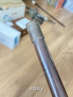 Antique Carved Coromandel Carved Bird Head Handle Walking Stick