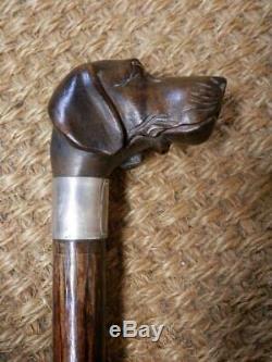 Antique Carved Dog Head, Mechanical Glove Holder, Walking Stick. Sterling Collar
