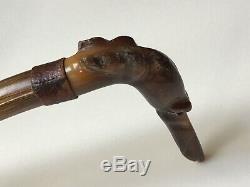 Antique Carved Dog Head Walking Stick/Cane