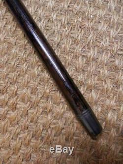Antique Carved Dog Head Walking Stick With Glass Eyes And Silver Collar C&S