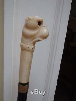 Antique Carved Figural Bull Dog With Collar Walking Stick Or Cane