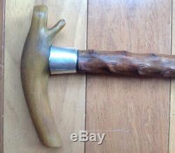 Antique Carved Horn Handle Walking Stick Cane Solid Silver Collar Band Wood 35+