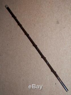 Antique Carved Mahogany Walking Stick H/m Silver Pommel London 1892