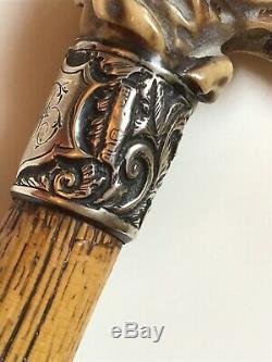 Antique Carved Owl with Silver Walking Cane/Stick