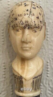 Antique Carved Phrenology Head Walking Stick c1850