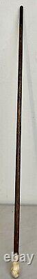 Antique Carved Phrenology Head Walking Stick c1850