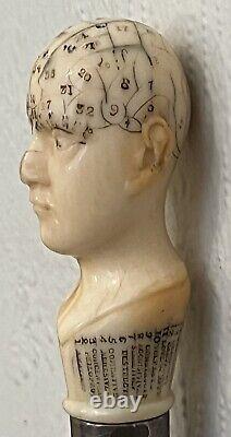 Antique Carved Phrenology Head Walking Stick c1850