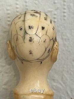 Antique Carved Phrenology Head Walking Stick c1850