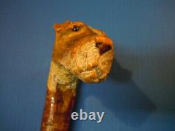 Antique Carved Scotty Dog Head Cane Walking Stick, finest ever on Ebay, Ca 1900