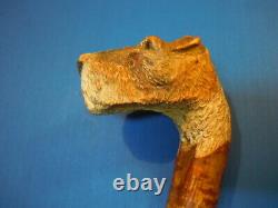 Antique Carved Scotty Dog Head Cane Walking Stick, finest ever on Ebay, Ca 1900