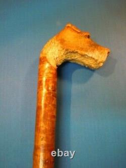 Antique Carved Scotty Dog Head Cane Walking Stick, finest ever on Ebay, Ca 1900