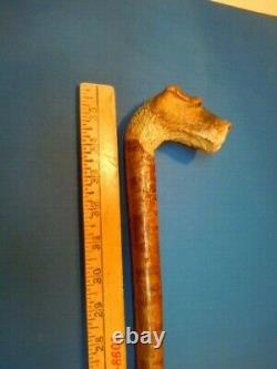 Antique Carved Scotty Dog Head Cane Walking Stick, finest ever on Ebay, Ca 1900