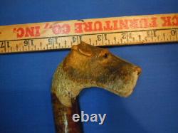 Antique Carved Scotty Dog Head Cane Walking Stick, finest ever on Ebay, Ca 1900