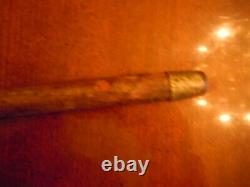 Antique Carved Scotty Dog Head Cane Walking Stick, finest ever on Ebay, Ca 1900