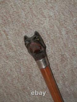 Antique Carved Terrier Dogs Head Walking Stick With Nickel Silver Collar 90cm