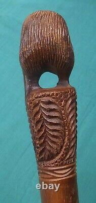 Antique Carved Wood Walking Stick New Zealand Kiwi & Tree Fern Design