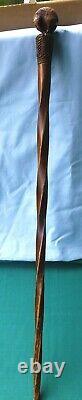 Antique Carved Wood Walking Stick New Zealand Kiwi & Tree Fern Design