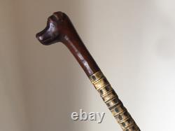 Antique Carved Wooden Dog Head & Shark Vertebrae Walking Stick / Cane