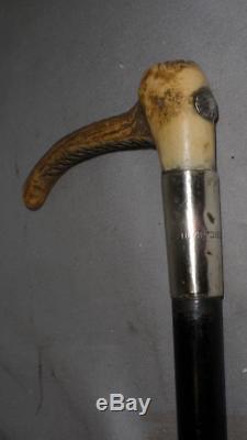Antique Ebonised Walking Stick -Detailed Carved Antler Handle'Frederick Bailey