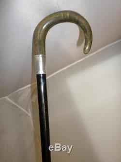 Antique Ebonsised Walking Cane- Carved Bovine Horn Handle -hallmarked Silver