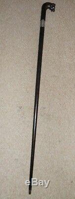 Antique Ebony Spaniel Carved Walking Stick Presentation'Cardiff 1885' Silver