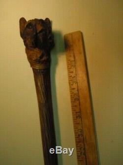 Antique Fantastic Carved wood Dog Head Cane Walking Stick, glass eyes Ca 1890