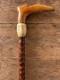Antique Fritz Walking Stick Carved Wood Cane Horn Collar Rustic Gentleman's Cane