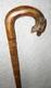 Antique Fruit Wood Walking Stick / Cane Hand Carved Shaft & Dragon Head Crook
