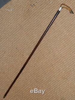 Antique G & J Zair Bovine Horn carved Horse Leg Walking Stick H/M Silver'1898