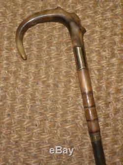 Antique Gold Plate Ladies Dress Cane With Carved Bovine Horn Crook Top