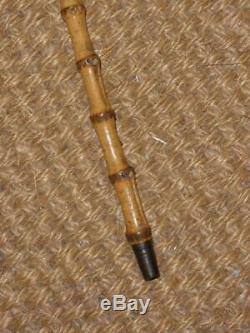 Antique Gold Wangy Bamboo Dress Cane With Chinese Carved Coquilla Nut Top. Howell